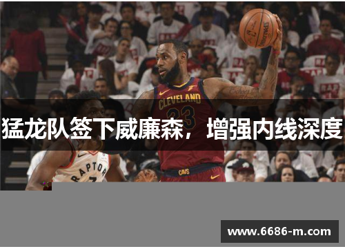 猛龙队签下威廉森,增强内线深度